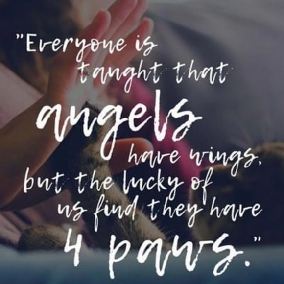 Furever In My ❤️ wooden sign - Picture 6 of 6